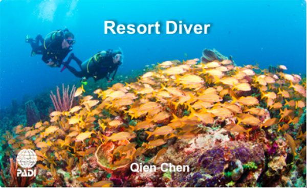 12/12正式上線！PADI 最新課程【休閑潛水員Resort Diver】 丨 一天拿證，潛遍全球