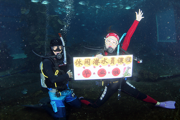 12/12正式上線！PADI 最新課程【休閑潛水員Resort Diver】 丨 一天拿證，潛遍全球