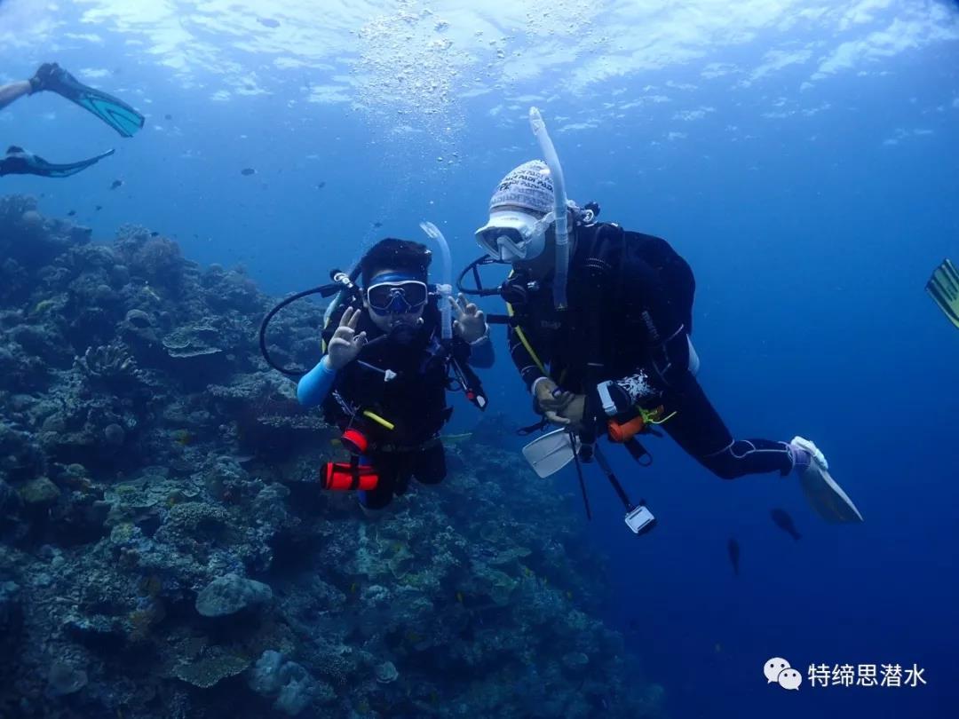 潛水旅行的禮儀