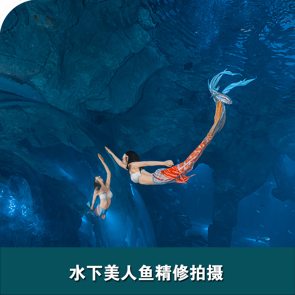 舟山長(zhǎng)喬海洋公園水下美人魚(yú)拍攝