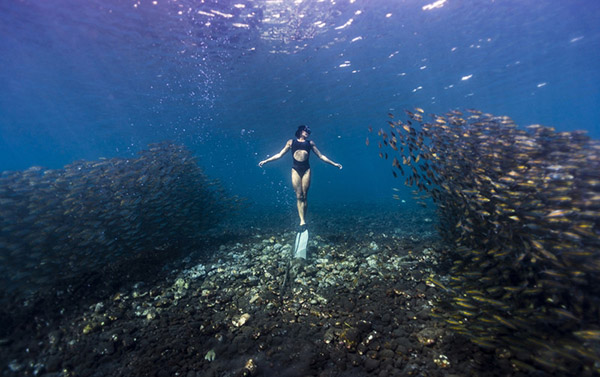 澳女子與魚(yú)群同游似美人魚(yú)